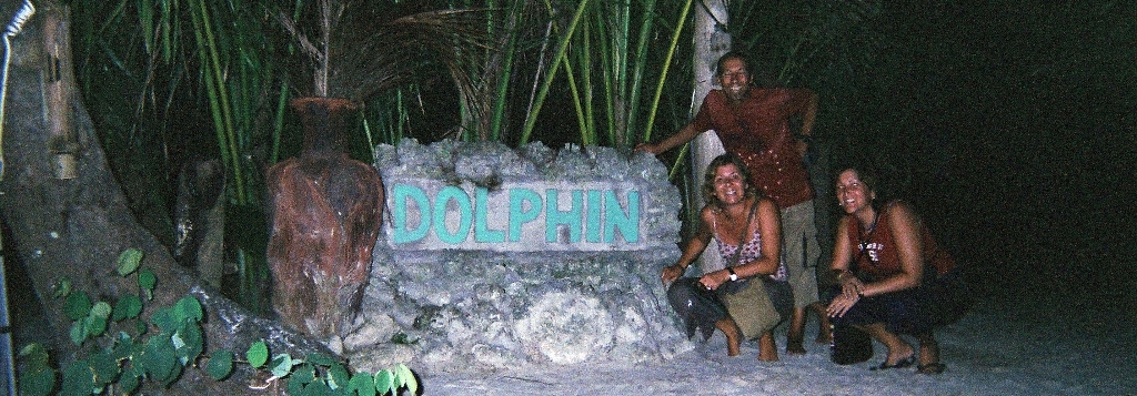 Dolphin entrance at night - Click to enlarge